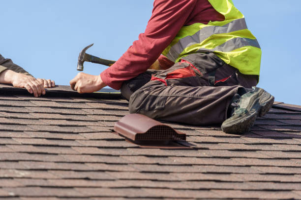 Best Roof Maintenance Services  in Petersburg, MI
