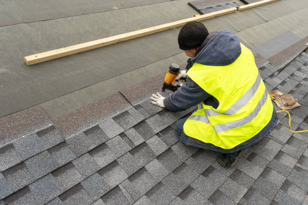 Best Metal Roofing Contractor  in Petersburg, MI