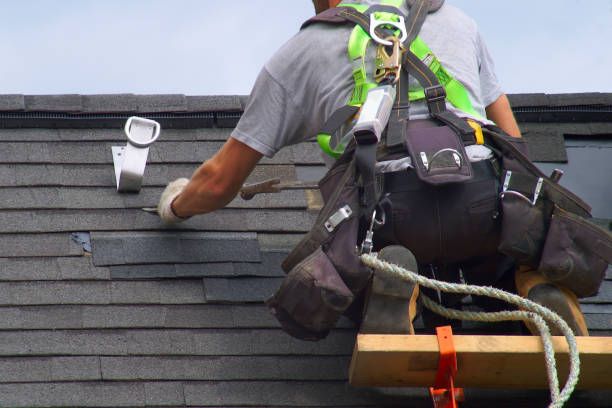Best Shingle Roofing Installation  in Petersburg, MI