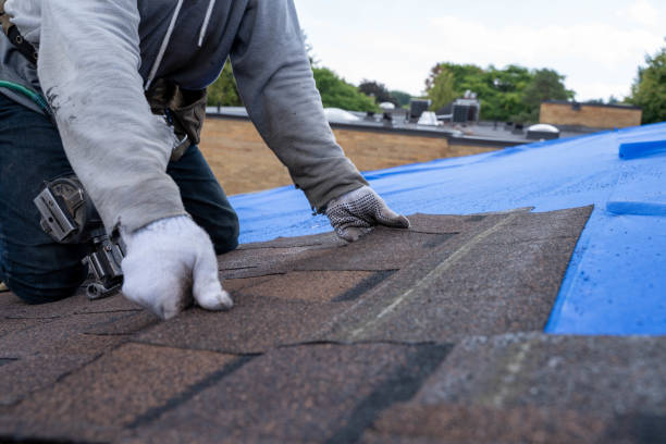 Sealant for Roof in Petersburg, MI