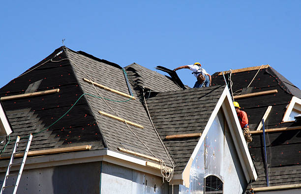 Best Residential Roofing Contractor  in Petersburg, MI