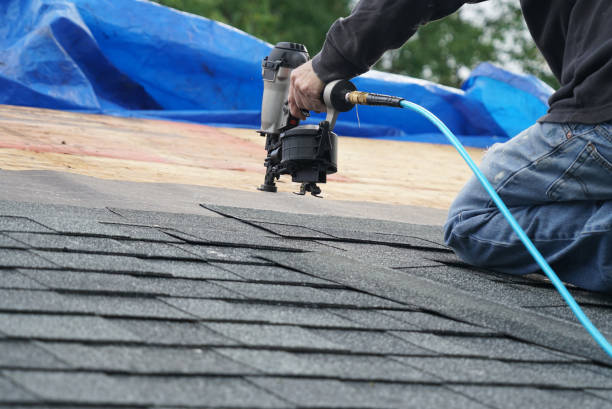 Best Local Roofing Companies  in Petersburg, MI