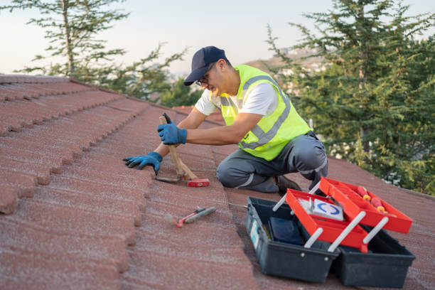 Best Affordable Roofing Company  in Petersburg, MI