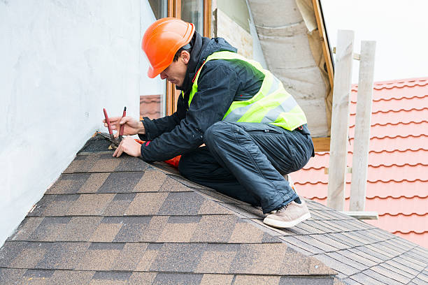 Residential Roof Replacement in Petersburg, MI