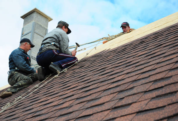 Best Roofing Contractor Near Me  in Petersburg, MI