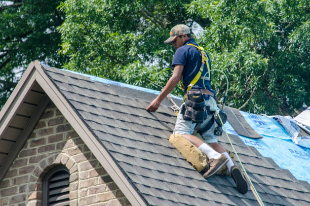 Best Gutter Installation and Roofing  in Petersburg, MI